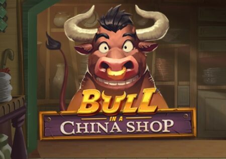 Bull in a China Shop